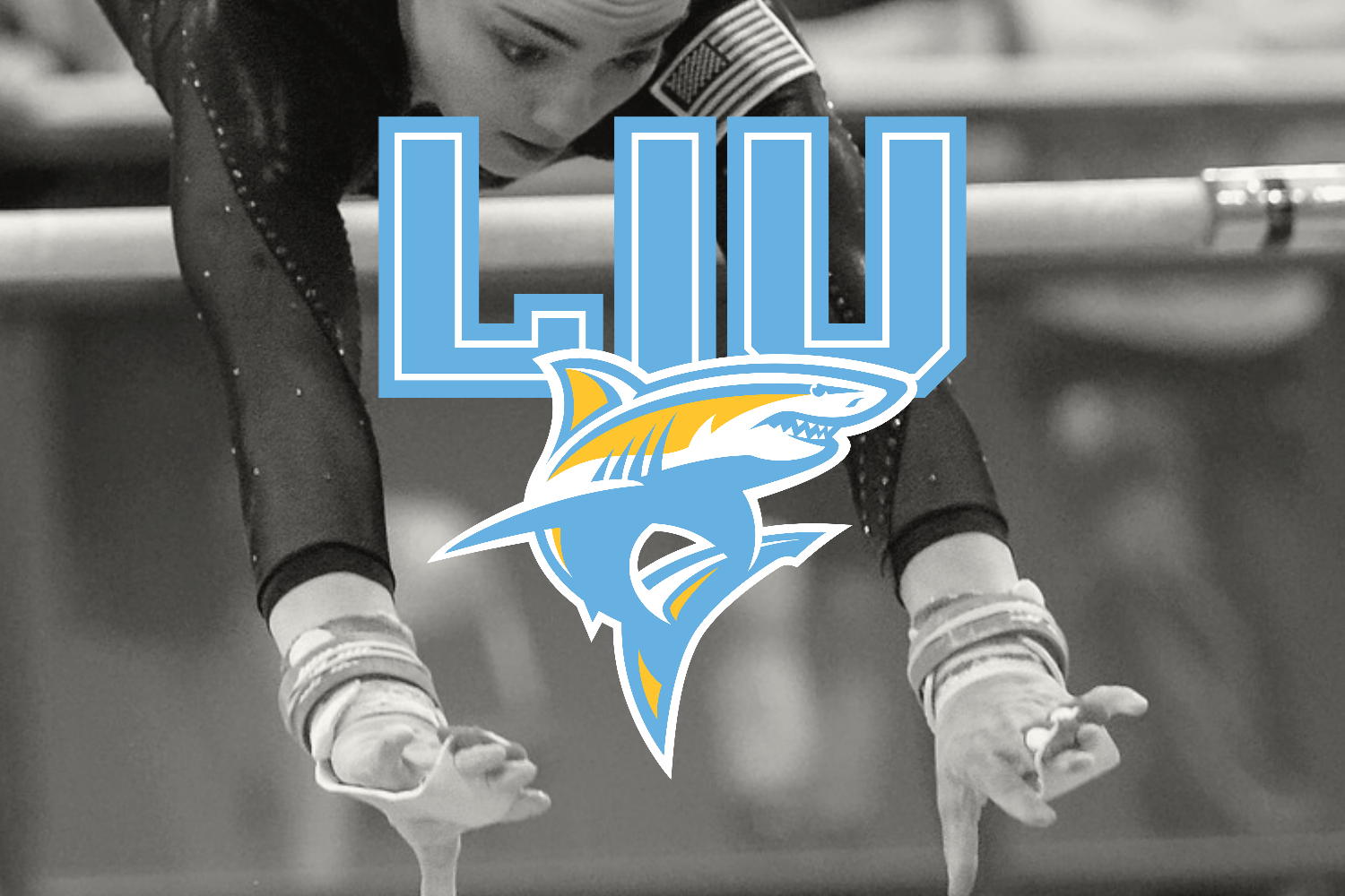 Long Island University to add NCAA Gymnastics program