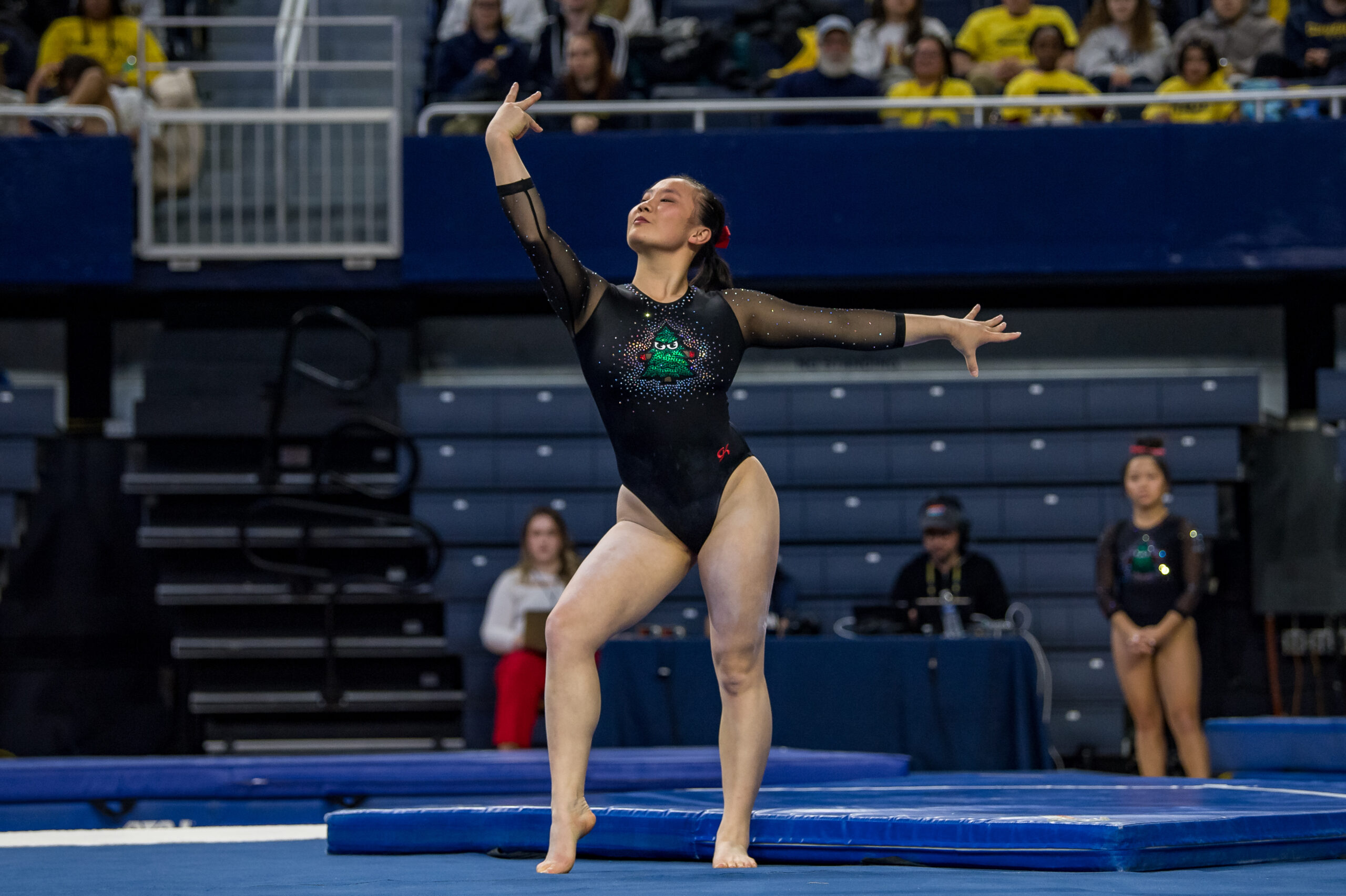 The story behind the leo: Stanford's Angry Tree leo is 'campy' - Gymnastics  Now