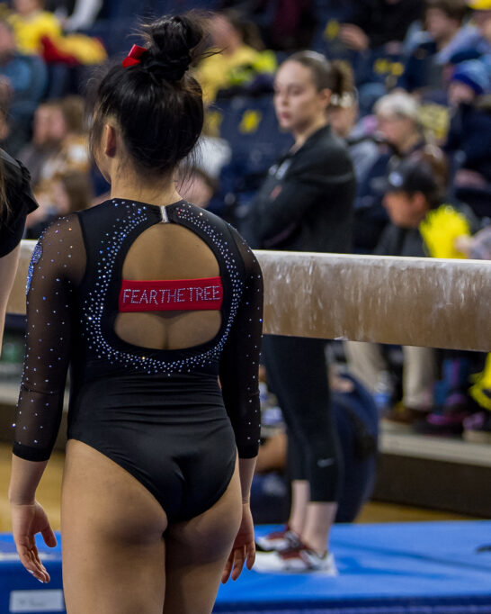 "Fear the Tree" detailing on the back of Stanford's "Angry Tree" leotard.