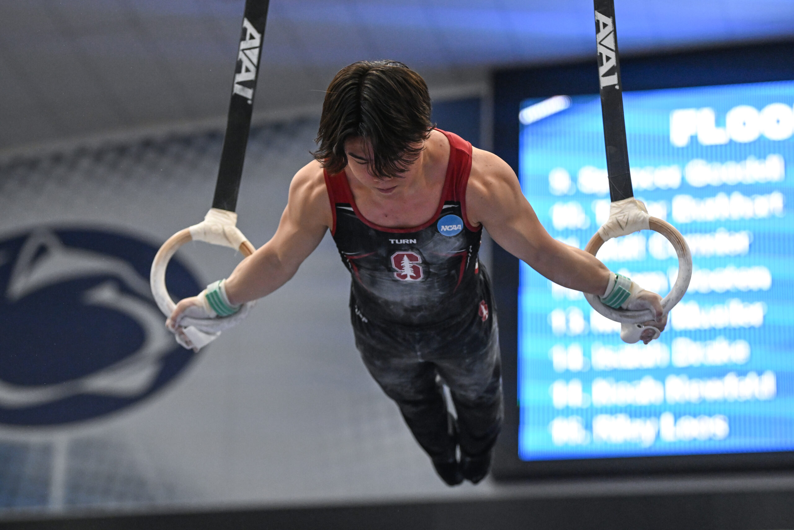 Stanford's Asher Hong on rings at the 2023 NCAA Men's Gymnastics Championships.